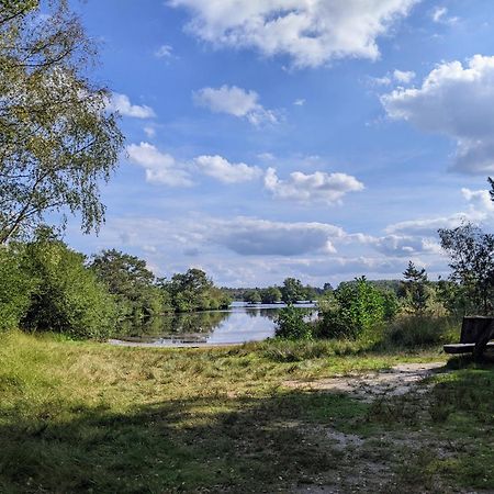 Sfeervol Chaletje In Een Rustige Bosrijke Omgeving Diessen エクステリア 写真