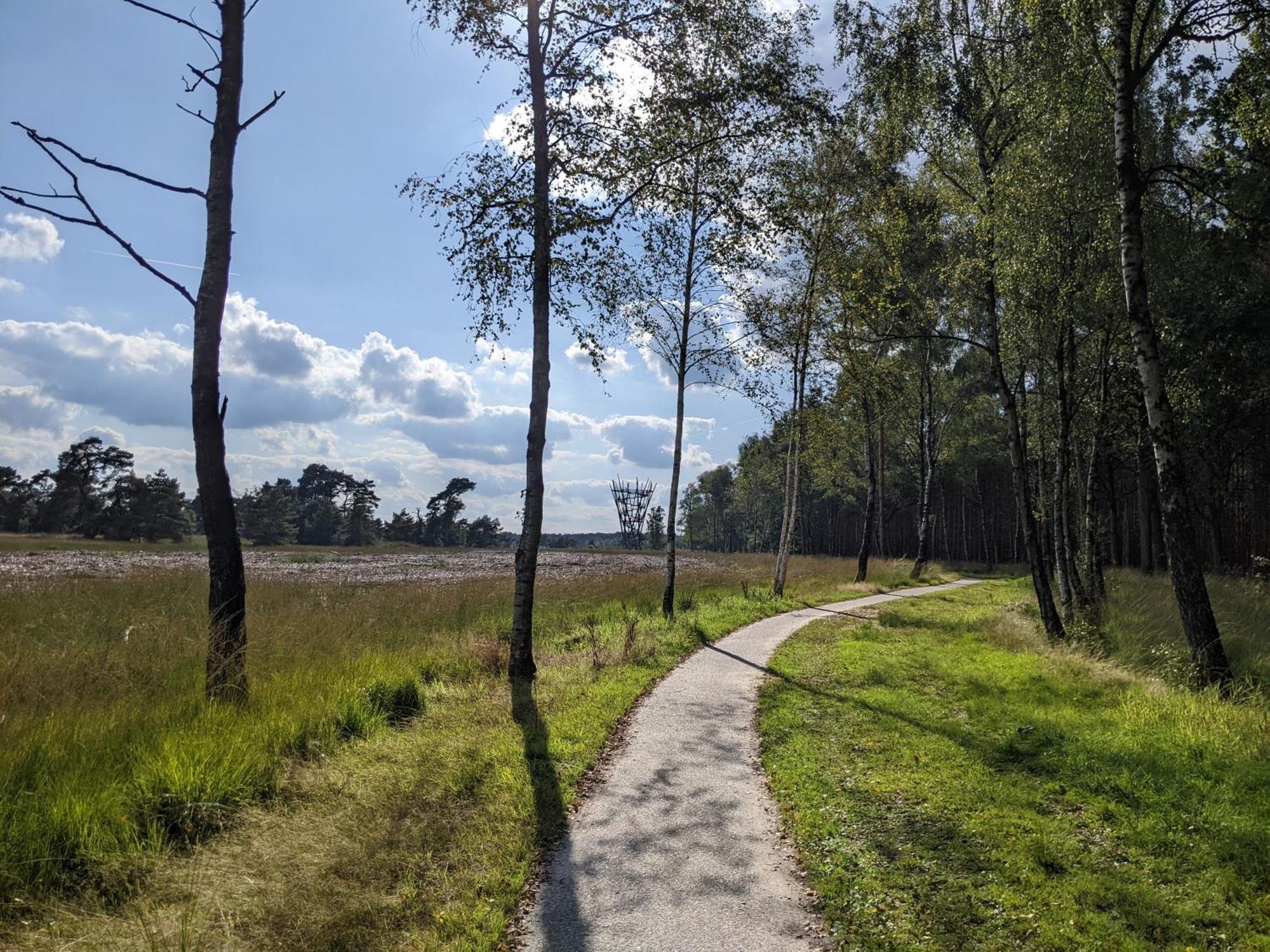 Sfeervol Chaletje In Een Rustige Bosrijke Omgeving Diessen エクステリア 写真